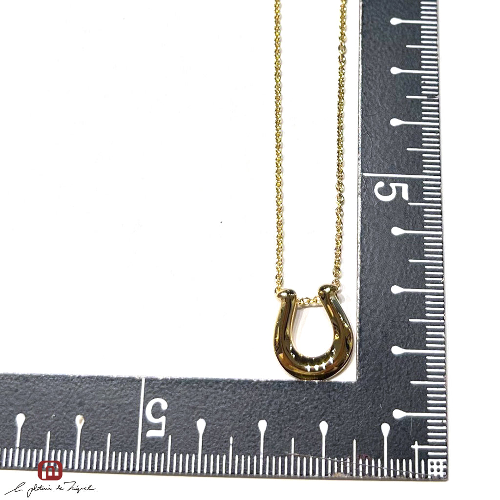 Horseshoe Gold Large 45cm