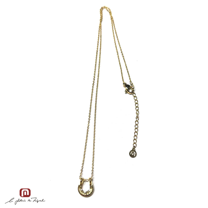 Horseshoe Gold Medium 45cm