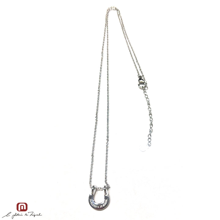 Horseshoe Silver Large 50cm