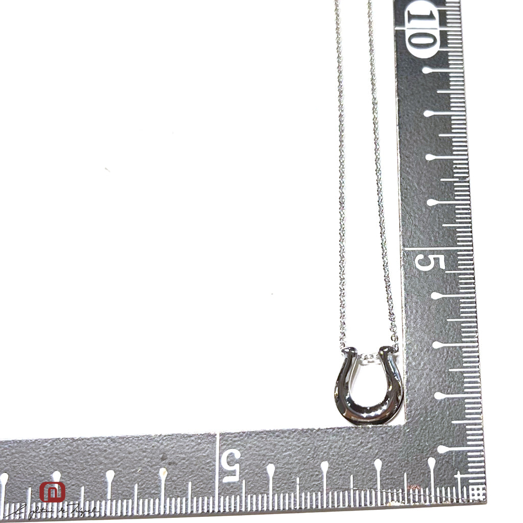 Horseshoe Silver Large 50cm