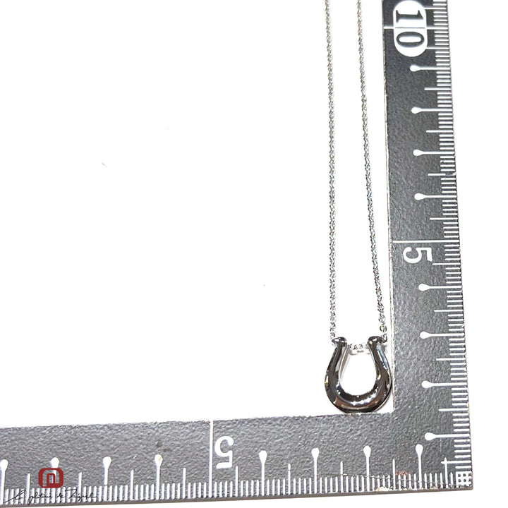 Horseshoe Silver Large 50cm
