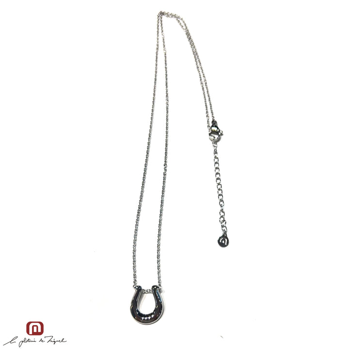 Horseshoe Silver Large 50cm