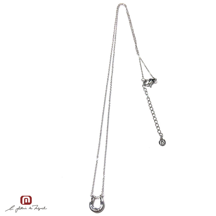 Horseshoe Silver Medium 50cm