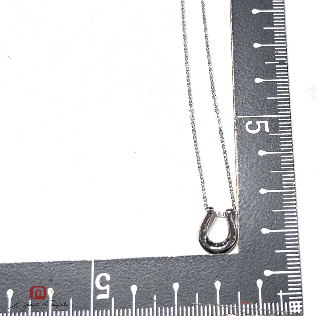 Horseshoe Silver Medium 50cm
