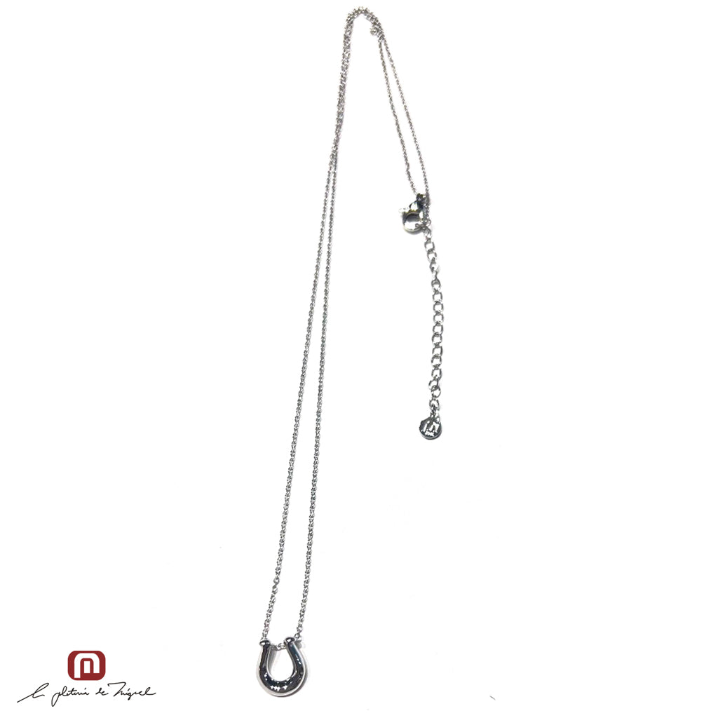 Horseshoe Silver Medium 50cm