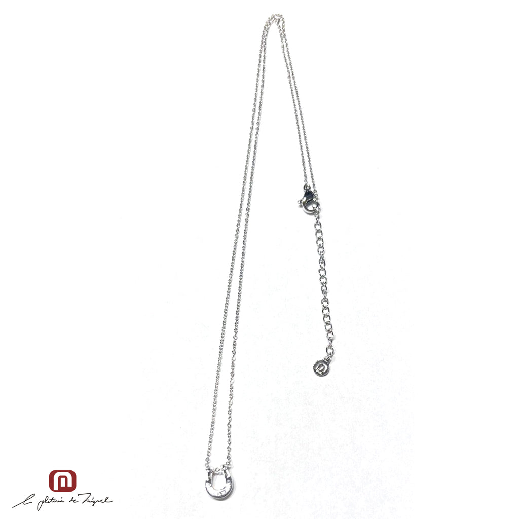 Horseshoe Silver Small 50cm