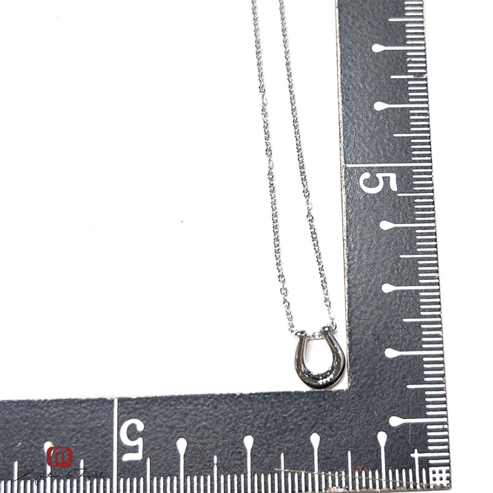 Horseshoe Silver Small 50cm