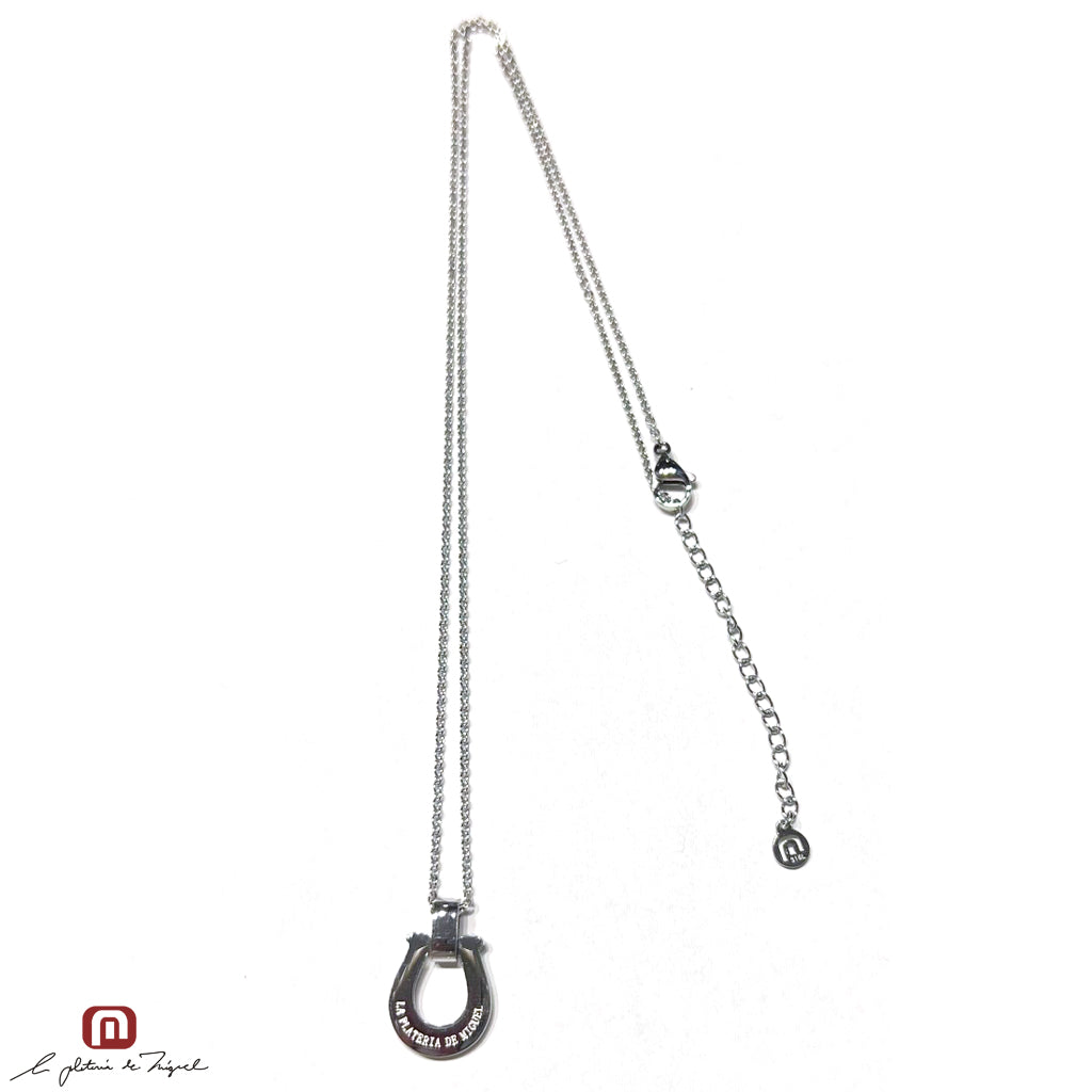 Horseshoe Silver Large 50cm