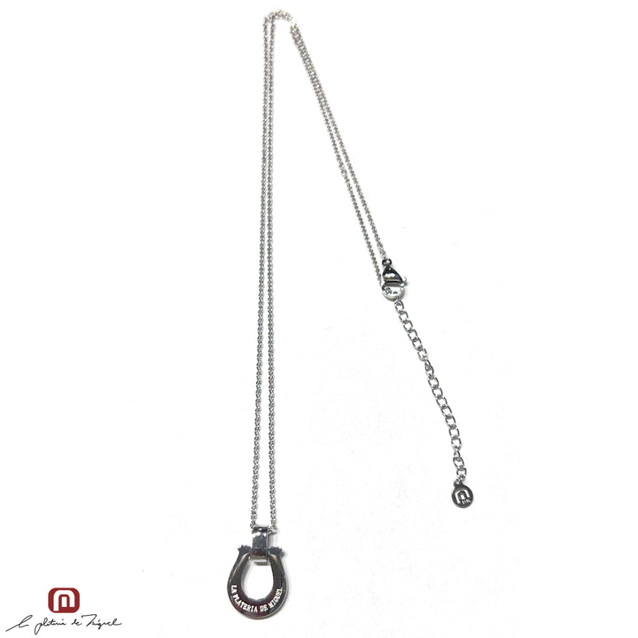 Horseshoe Silver Large 50cm