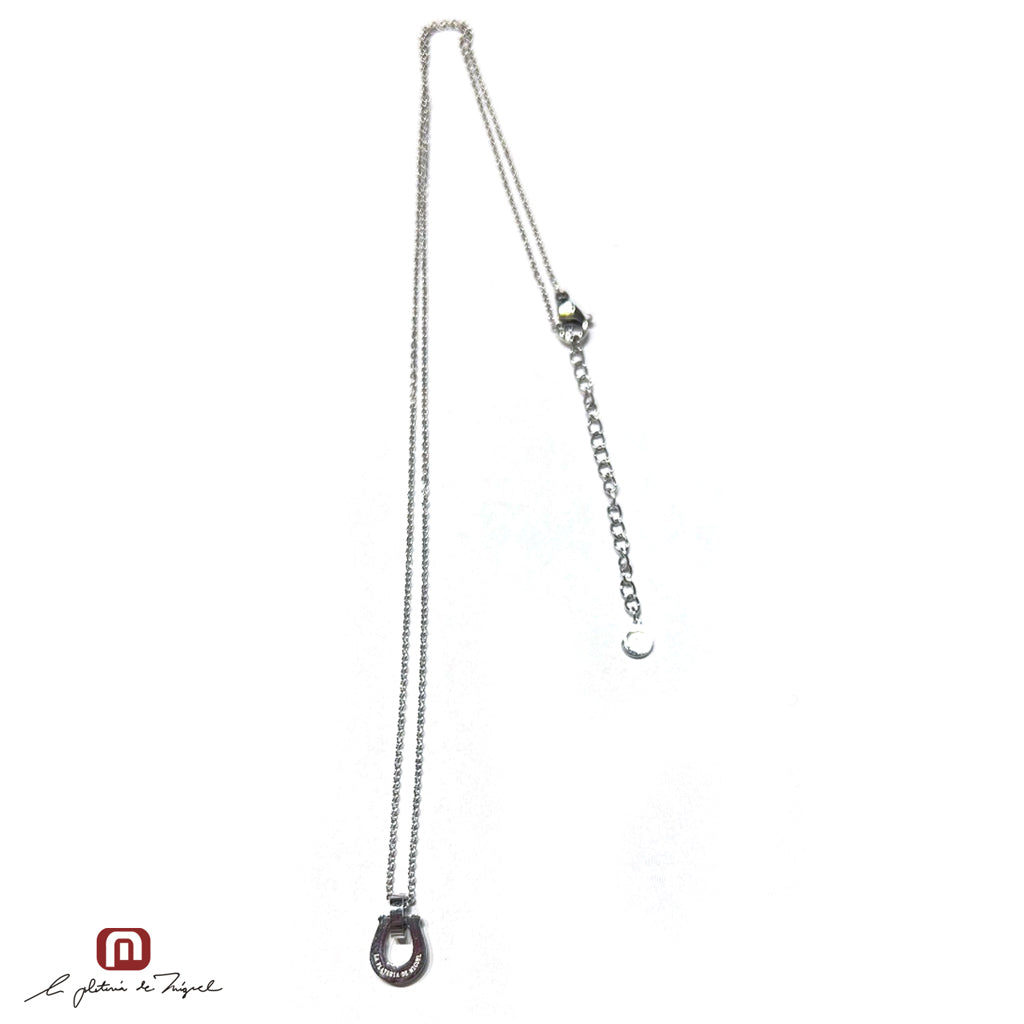 Horseshoe Silver Small 50cm