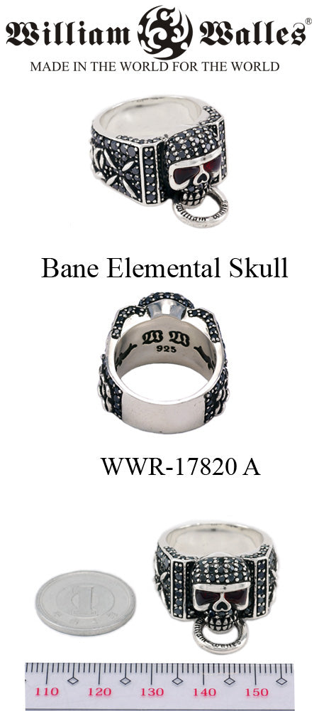Bane Elemental Skull