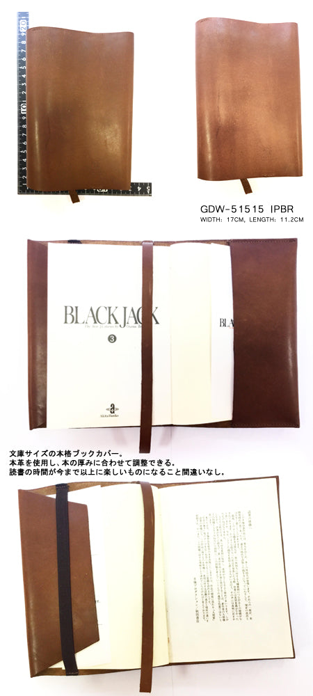 Book Cover Pana