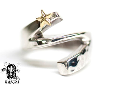 DAINTY SIGNET STAR