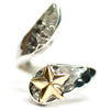 ACHENAR STAR