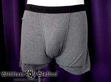 Gray Boxer Brief 下着 / アンダーウェア