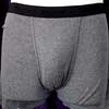 Gray Boxer Brief 下着 / アンダーウェア