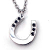 Horseshoe SV