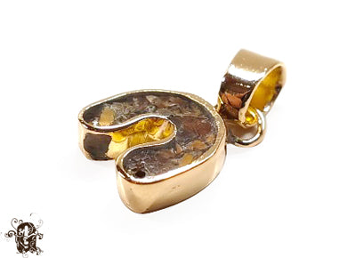 Horseshoe Tiger Eye Small