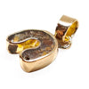 Horseshoe Tiger Eye Small