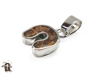Horseshoe Tiger Eye Small