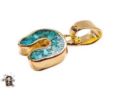 Horseshoe Turquoise Small
