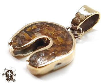 Horsheshoe Tiger Eye Medium