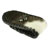 Money Clip Collection その他 シルバーアクセ