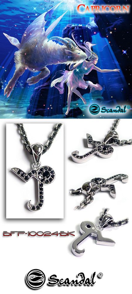 Punk Capricorn Pendant シルバー ペンダント