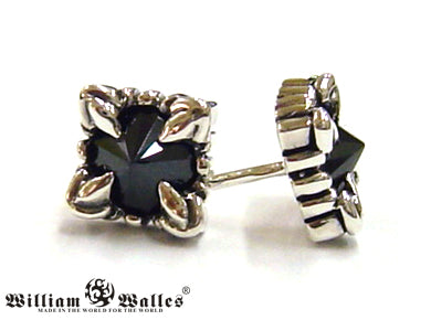 Sentinels Claw