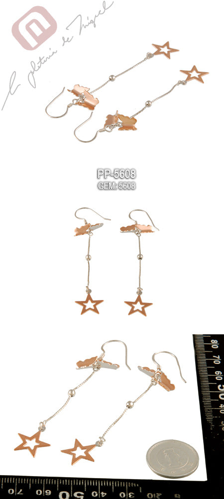 Two Star Butterfly シルバー ピアス