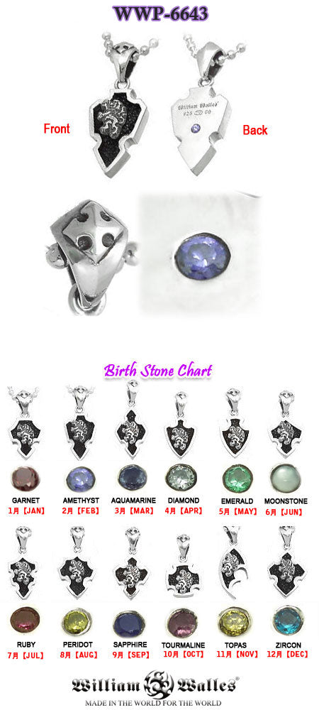 Zodiac Pendant Feb