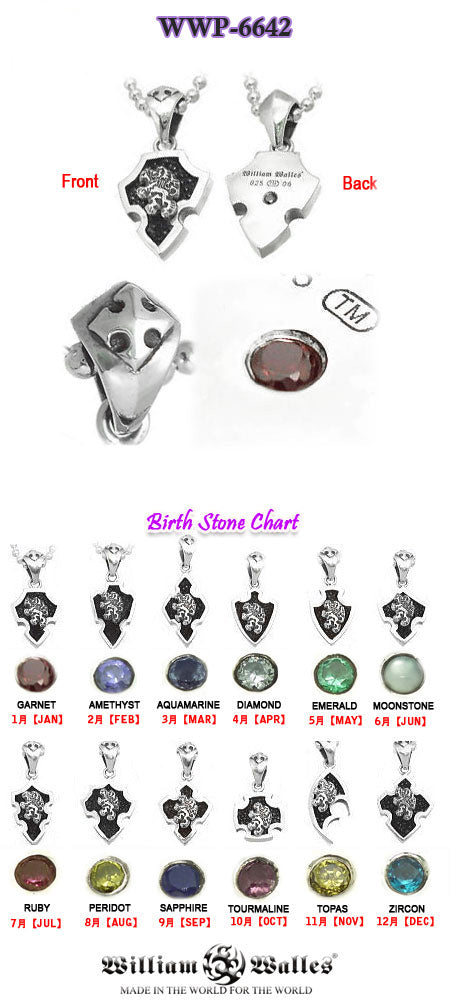 Zodiac Pendant Jan